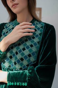 The Royal  Velvet Gown